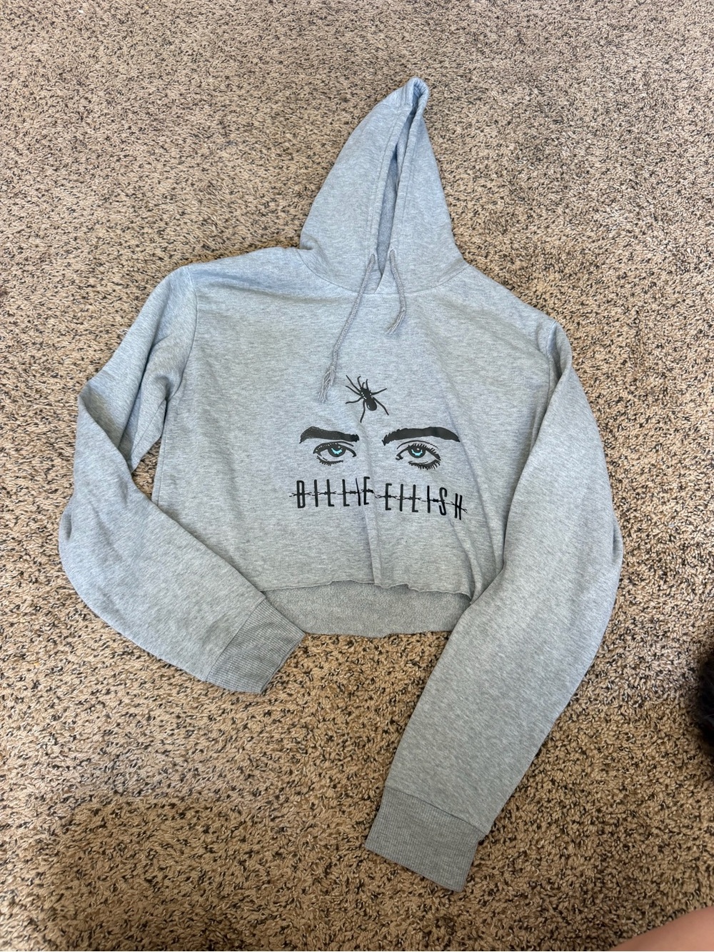 Amazon Gray Billie Eilish Cropped Hoodie Sweatshirt